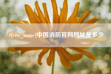 义乌中国消防官网网址是多少