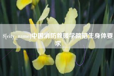 义乌中国消防救援学院招生身体要求