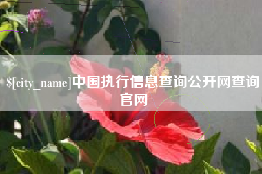 义乌中国执行信息查询公开网查询官网