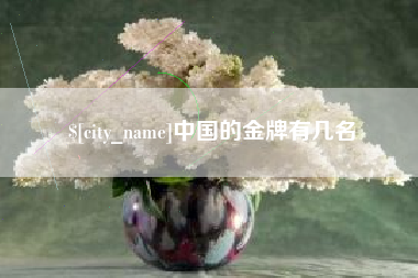 义乌中国的金牌有几名