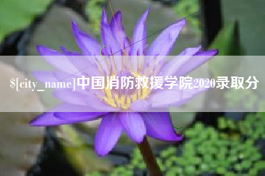 义乌中国消防救援学院2020录取分
