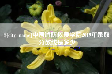 义乌中国消防救援学院2019年录取分数线是多少