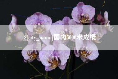 义乌国内5000米成绩