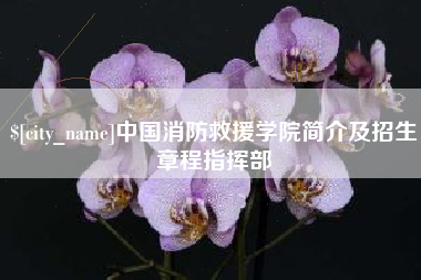 义乌中国消防救援学院简介及招生章程指挥部