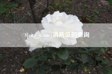 义乌消防证的查询
