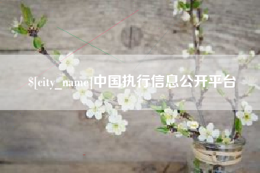 义乌中国执行信息公开平台