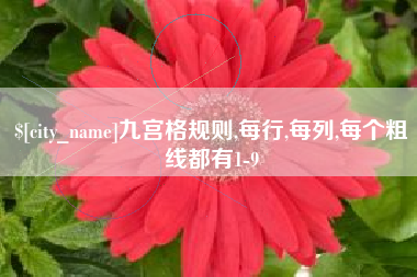 义乌九宫格规则,每行,每列,每个粗线都有1-9