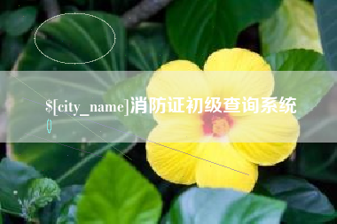 义乌消防证初级查询系统
