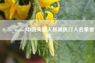 义乌中国失信人员被执行人名单查询