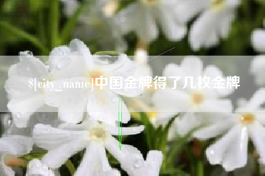 义乌中国金牌得了几枚金牌