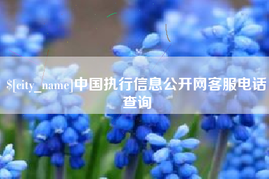 义乌中国执行信息公开网客服电话查询