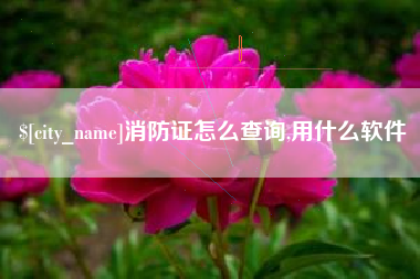 义乌消防证怎么查询,用什么软件