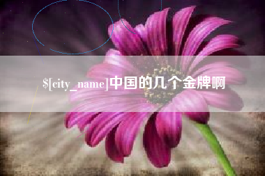 义乌中国的几个金牌啊