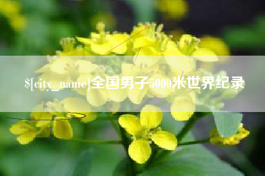 义乌全国男子5000米世界纪录