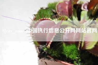 义乌中国执行信息公开网网站官网