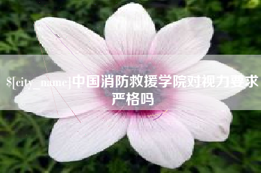 义乌中国消防救援学院对视力要求严格吗