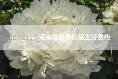 义乌河南消防学校招生分数线