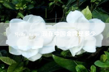 义乌现在中国金牌是多少