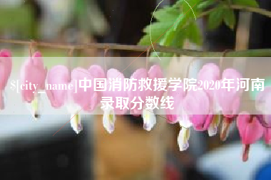 义乌中国消防救援学院2020年河南录取分数线