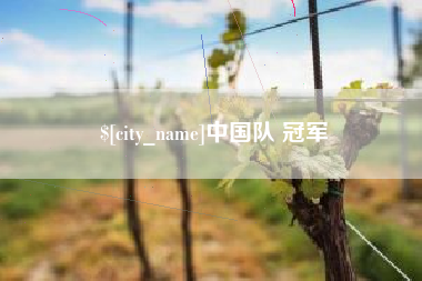 义乌中国队 冠军
