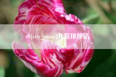 义乌九宫排除法