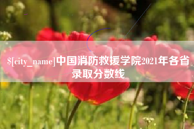 义乌中国消防救援学院2021年各省录取分数线