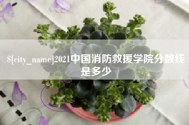 义乌2021中国消防救援学院分数线是多少