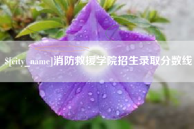 义乌消防救援学院招生录取分数线