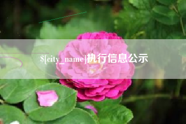 义乌执行信息公示