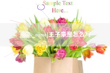 义乌王子豪是怎么写