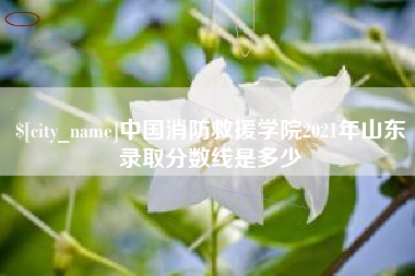 义乌中国消防救援学院2021年山东录取分数线是多少