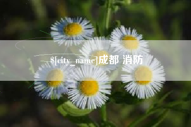 义乌成都 消防