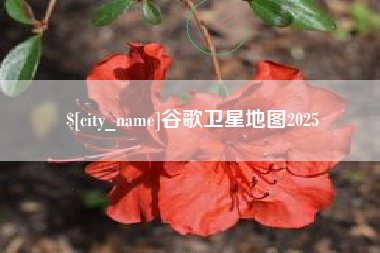 义乌谷歌卫星地图2025