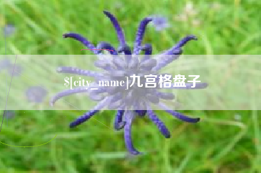 义乌九宫格盘子