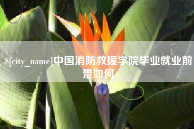 义乌中国消防救援学院毕业就业前景如何
