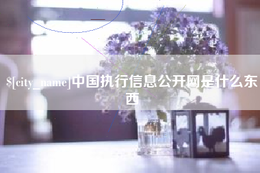 义乌中国执行信息公开网是什么东西