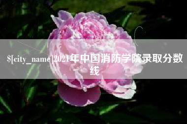 义乌2021年中国消防学院录取分数线