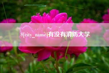 义乌有没有消防大学