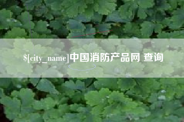 义乌中国消防产品网 查询