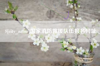 义乌国家消防救援队伍报名网址