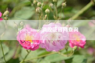 义乌消控证官网查询