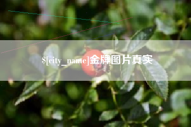 义乌金牌图片真实