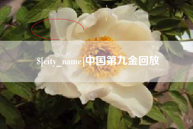 义乌中国第九金回放