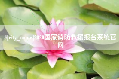 义乌2020国家消防救援报名系统官网