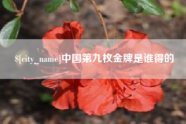 义乌中国第九枚金牌是谁得的