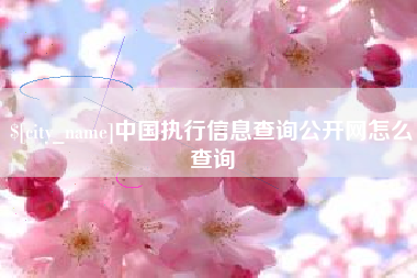 义乌中国执行信息查询公开网怎么查询