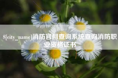 义乌消防官网查询系统查询消防职业资格证书