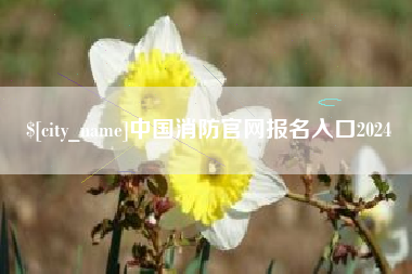 义乌中国消防官网报名入口2024