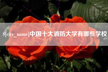 义乌中国十大消防大学有哪些学校