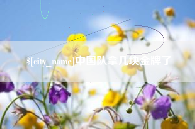 义乌中国队拿几块金牌了